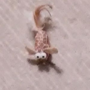 Meet your Posher, Melody